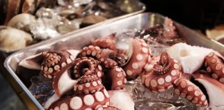 ASAE apreende mais de 400 kg de moluscos bivalves em mercados e retalhistas em julho
