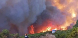 Incêndios/Madeira: Fogo mantém três frentes ativas e160 pessoas permanecem fora de casa
