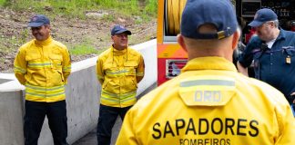 Incêndios: Governo da República ofereceu apoio para combate ao fogo na Madeira