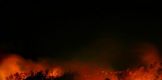 Incêndios: Agosto é já o mês com mais área ardida em 2024 e duplicou face a julho