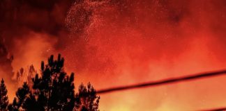 Incêndios: Governo declara Situação de Alerta para o continente a partir das 13:00