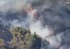 PJ detém homem suspeito de provocar vários incêndios em Coimbra