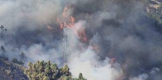 Incêndio em Nisa força evacuação parcial de aldeia