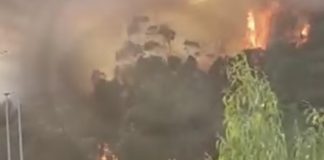 Incêndios: Quase 150 operacionais combatem fogo em Ourém