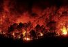 Quinze pessoas feridas nos incêndios de Vouzela e Águeda