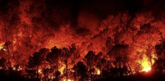Conselho de Estado termina sem divulgar conclusões e expressa pesar pelos incêndios