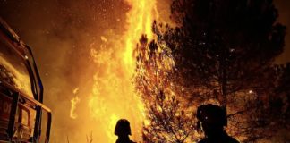 Balanço: 148 bombeiros feridos e um morto desde o início do ano em Portugal