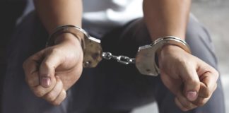 Mais de 7.000 detidos em agosto no Brasil por homicídio de mulheres e violência doméstica