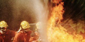 Incêndios: Ministra diz que haverá relatório para saber se houve falhas no combate
