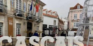Câmara de Cascais vai disponibilizar 105 alojamentos para professores