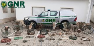 Suspeito detido em Ansião por dano contra a natureza e caça com meios não autorizados
