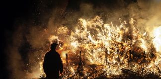 Incêndios: Cerca de 135 mil hectares arderam entre domingo e sexta-feira