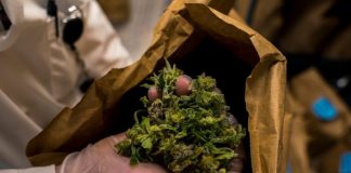 Jovem detido pela GNR tinha 72 quilos de droga no carro