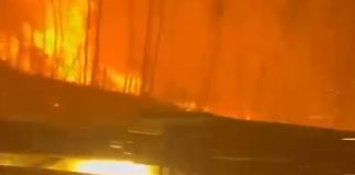Incêndios: Retomada circulação na A29, A17 e EN109 na zona de Aveiro