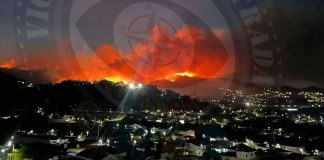 Incêndios: Fogo obriga ao corte da A24 em Vila Pouca de Aguiar