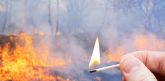 Incêndios: Setenta e quatro pessoas estão presas ou detidas por fogo posto