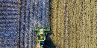 Portugal esgota esta segunda-feira recursos naturais disponíveis para 2025