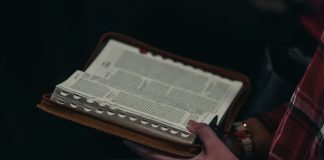 Escritores, artistas e investigadores vão debater leitura e literatura cigana