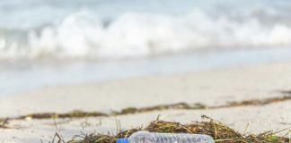 Mais de 130 ONG nacionais e internacionais juntam-se hoje em Lisboa por um oceano limpo