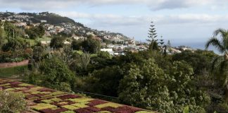 Madeira: Marcelo vai ouvir partidos e Conselho de Estado no início de janeiro
