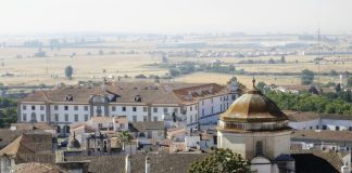 Autarca diz que alertas de programadores europeus confirmam preocupações sobre Évora2027