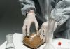 Seis detidos em operação contra tráfico de droga em Sintra