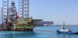 Mais de 30 golfinhos morreram devido a derrame de petróleo no Mar Negro