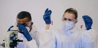 Edição genética de células adiposas mostra potencial para combater cancro