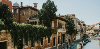 Queda de árvore em Veneza causa uma dúzia de feridos