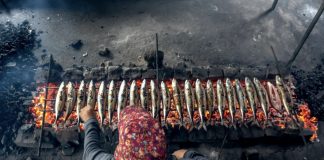Sardinhas tornam-se tendência de verão nos EUA e loja portuguesa atrai atenções