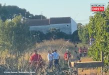 Ocorrências: Incêndio em Beja dominado e sismo no Porto Santo entre ocorrências do dia