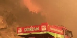 Tragédia na Turquia: Incêndio Florestal Mata 11 Trabalhadores