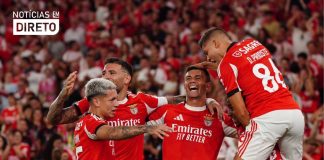 Benfica pode enfrentar Feyenoord ou Fenerbahçe no playoff da Champions