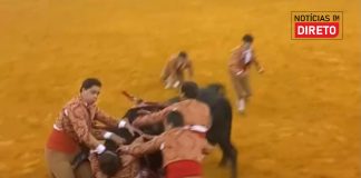 Forcado colhido por touro irá salvar 7 vidas através da doação de órgãos