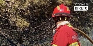 Heróis sem descanso: deputados recusam desgaste rápido para bombeiros