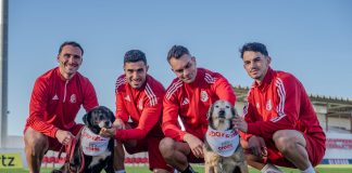 CROAS e União Desportiva de Santarém unem-se para promover a adoção responsável de animais