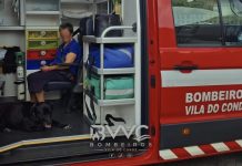 Um fiel amigo numa ambulância