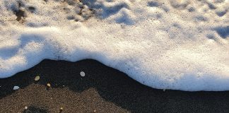Milhares de euros deram à costa numa praia