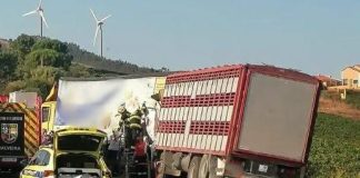 Camionista morre após colisão de pesados na A8