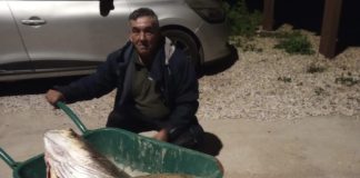 Corvina de 66 quilos capturada na Praia Grande, em Sintra