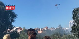 Rápida intervenção dos bombeiros e meio aéreo trava incêndio junto a habitações nas Caldas da Rainha