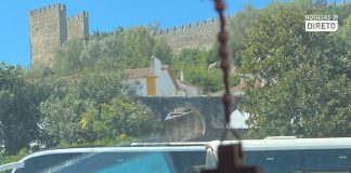 Calor extremo em Óbidos: carro regista mais de 40 graus em circulação