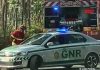 Homem de 66 anos morre atingido por árvore nas Caldas da Rainha
