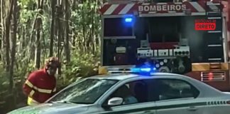 Homem de 66 anos morre atingido por árvore nas Caldas da Rainha