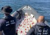 Polícia Marítima apreende 1.600 litros de combustível na foz do Tejo