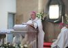 «Mais uma luz na vida da Igreja»: restos mortais da beata Alexandrina trasladados para novo santuário