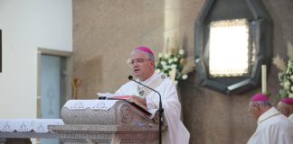 «Mais uma luz na vida da Igreja»: restos mortais da beata Alexandrina trasladados para novo santuário
